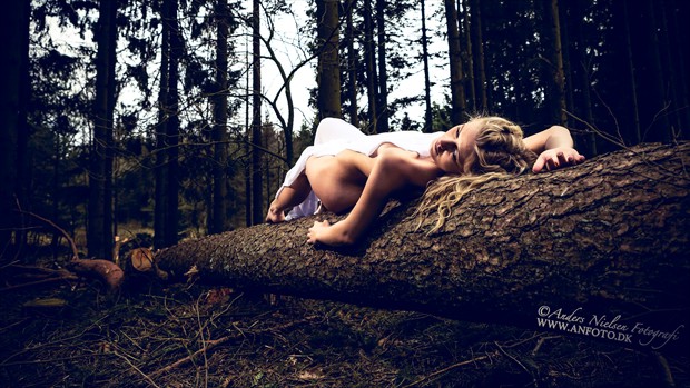 In the Woods Artistic Nude Photo by Photographer Anders Nielsen
