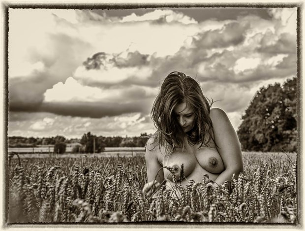 In the fields Artistic Nude Photo by Photographer BenGunn