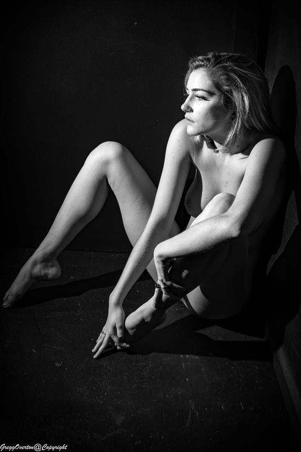 In the light Artistic Nude Photo by Photographer Revel Photo