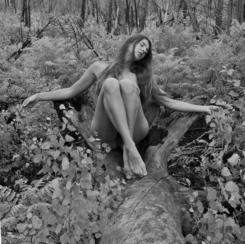 In the wild Artistic Nude Photo by Photographer Jyves