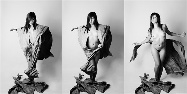 Inkheart   2 (Triptych)  Artistic Nude Photo by Photographer ReflexStudio