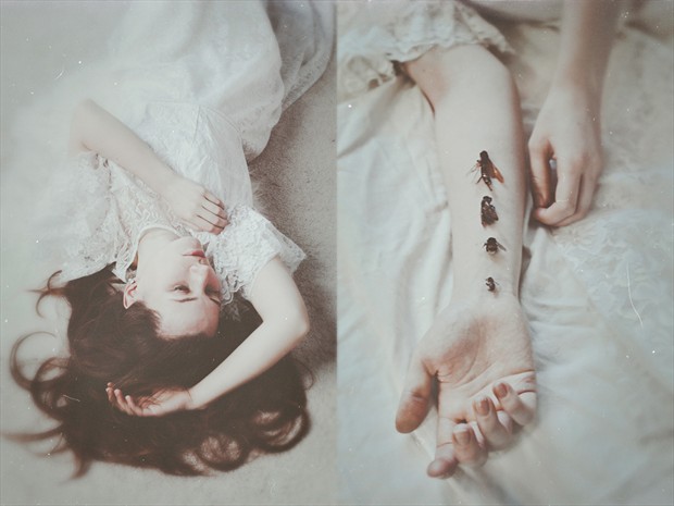 Insomnia's insects Surreal Photo by Photographer Natalia Drepina