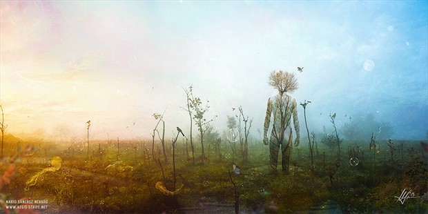 Internal Landscapes Nature Artwork by Artist Mario S. Nevado