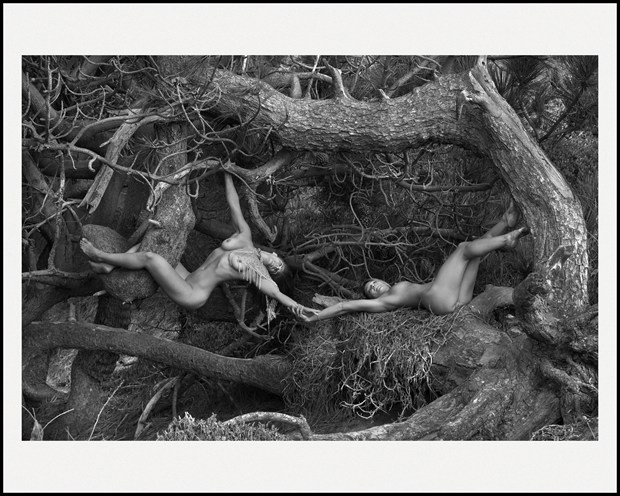 Intertwined Artistic Nude Photo by Artist LightBrushedImages