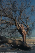 Into the Blue Artistic Nude Photo by Model Ella Rose Muse