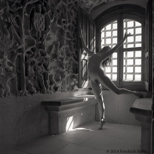  Joy Artistic Nude Photo by Photographer Friedrich Saller