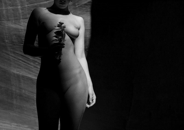 Into the Light Artistic Nude Photo by Photographer JoelBelmont