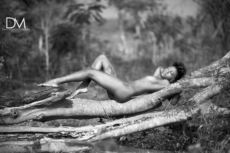Island Beauty Artistic Nude Photo by Photographer Dwightxm