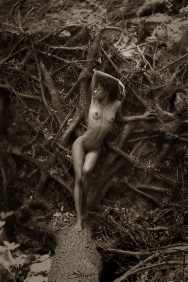 It Was Meant To Be Artistic Nude Photo by Artist Kevin Stiles