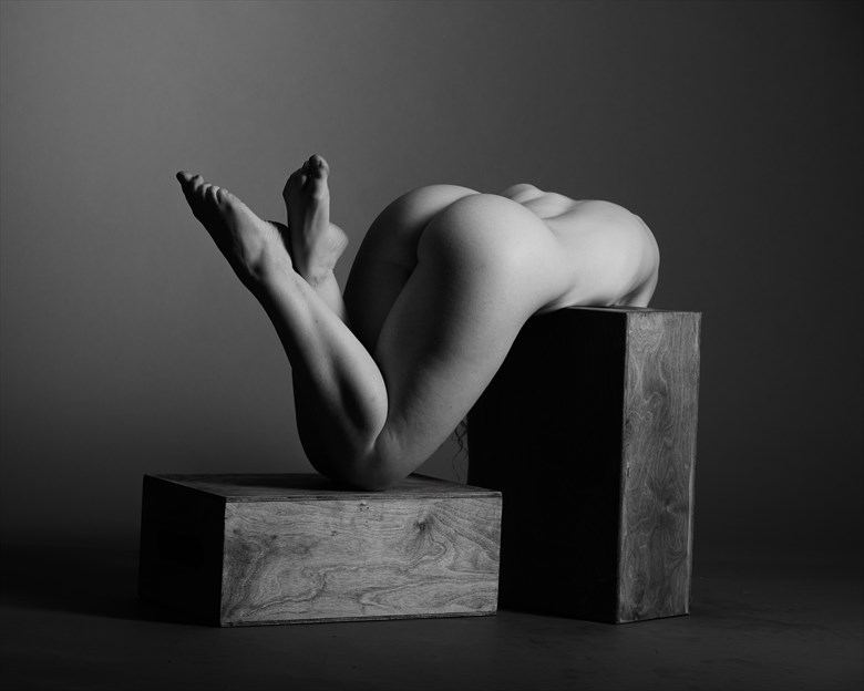 Ivory Flame Artistic Nude Photo by Photographer AndyD10