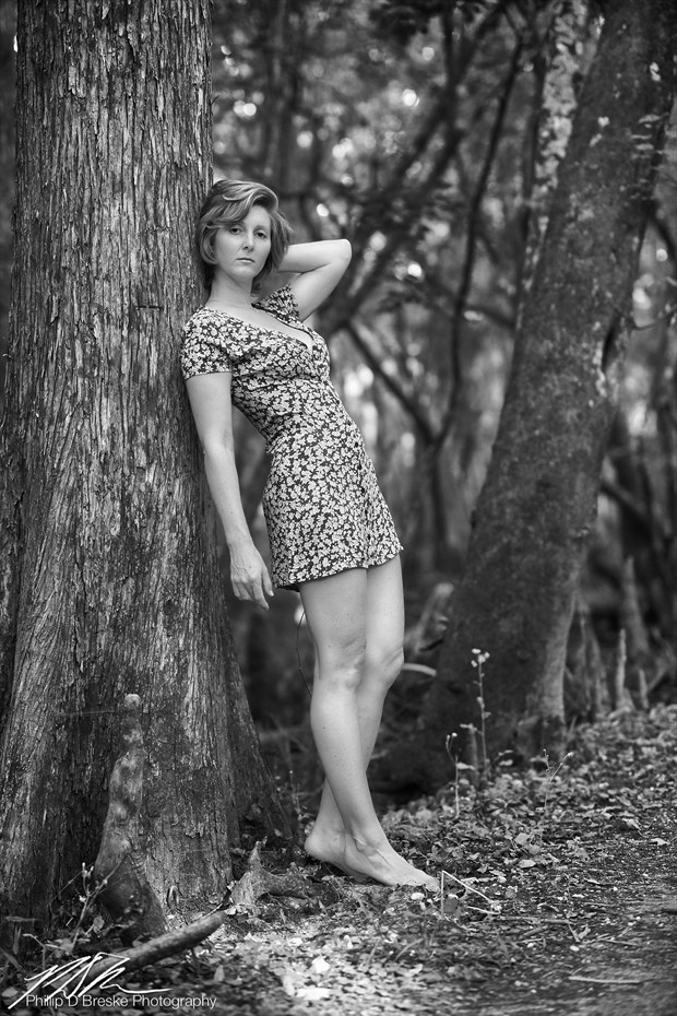 Jess in dress against a tree, Chiefland Nature Photo by Photographer Phillip D Breske