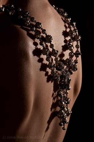Jewelscaping Chiaroscuro Photo by Photographer Donald's Eye