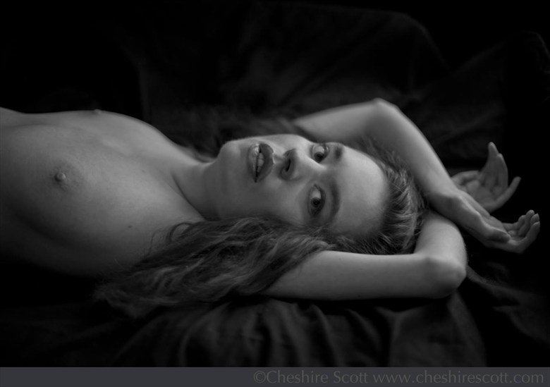 Jocelyn Woods Artistic Nude Photo by Model Jocelyn Woods