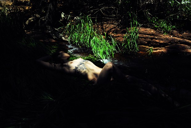 Jungle Queen  Artistic Nude Photo by Photographer Arcadian Haus