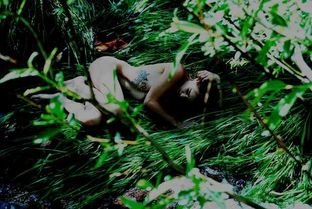 Jungle Queen Artistic Nude Photo by Photographer Arcadian Haus