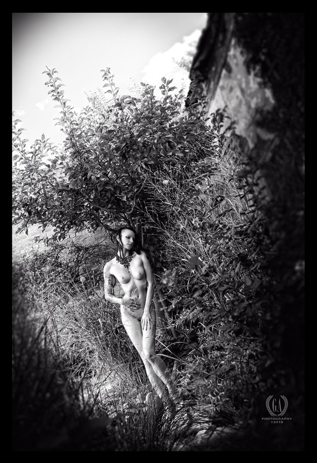 Kajira in the Garden Artistic Nude Photo by Photographer G A Photography