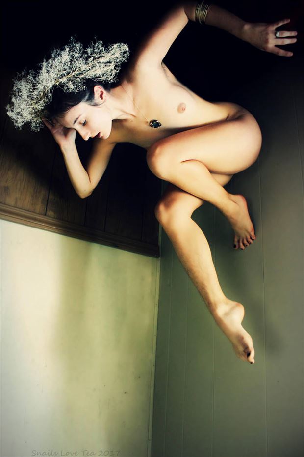 Kate Marie Cofsky  Artistic Nude Photo by Model Sophia Marilyn