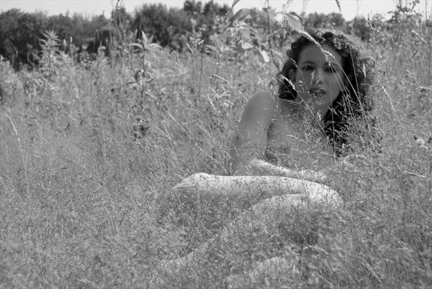 Keira in the grass Artistic Nude Photo by Photographer Daniel Tirrell photo