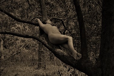 Kim Artistic Nude Photo by Photographer Lisa Paul Everhart