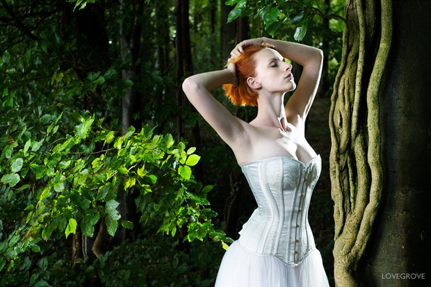 LKB corset collection   woods Fashion Photo by Photographer damienlovegrove