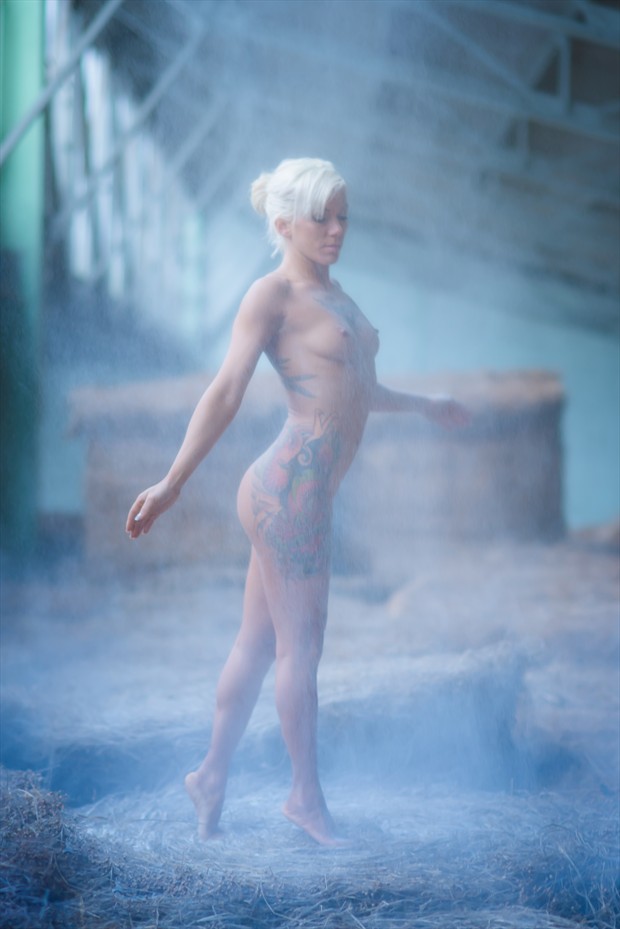 La Grange VII Artistic Nude Photo by Photographer Leschallier