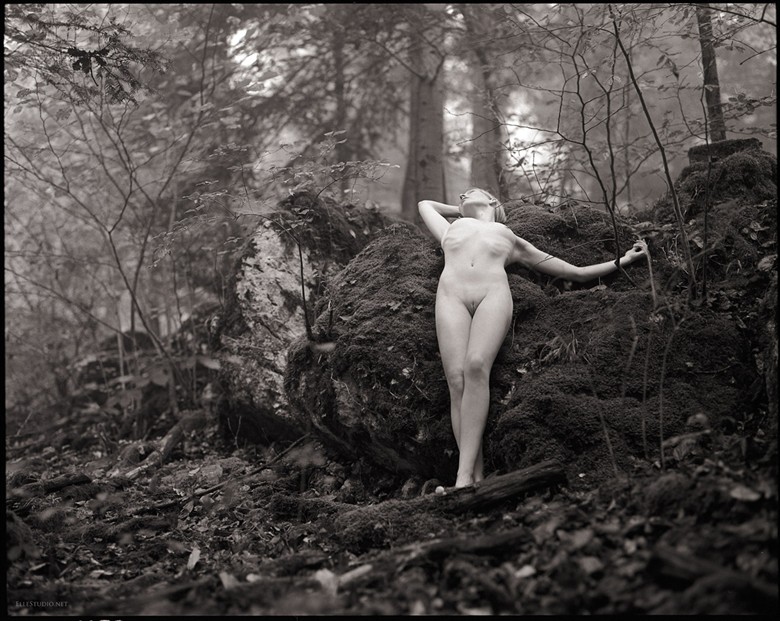 La caresse Artistic Nude Photo by Photographer Fabien ElleStudio