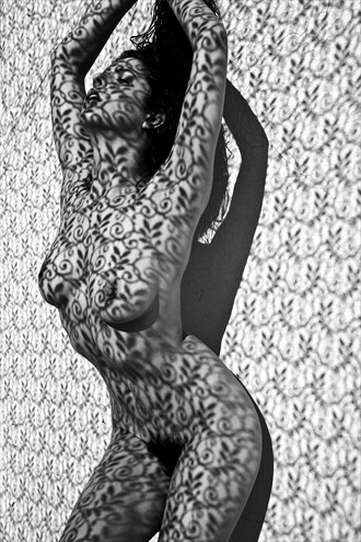 Lace Shadows Artistic Nude Photo by Photographer Photography for the SOUL