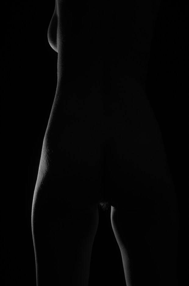  328 Artistic Nude Photo by Photographer Rodney Margison