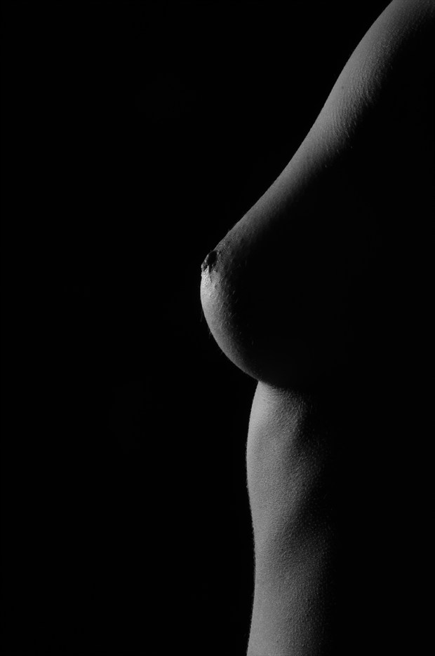  342 Artistic Nude Photo by Photographer Rodney Margison