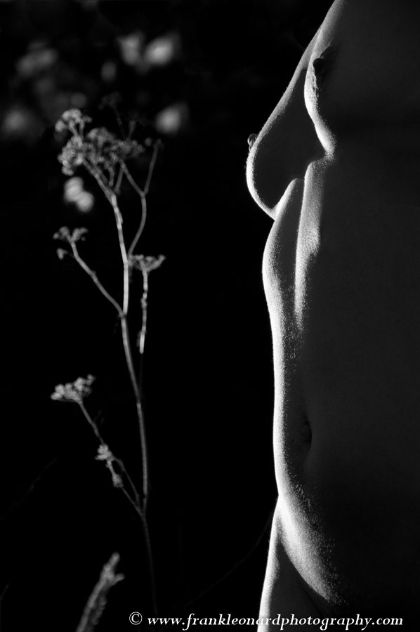Last Light Artistic Nude Photo by Photographer Frank Leonard