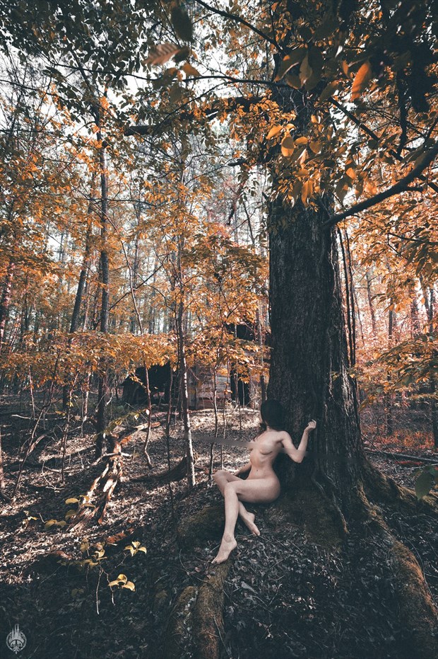 Last days. Artistic Nude Photo by Model BellaB33