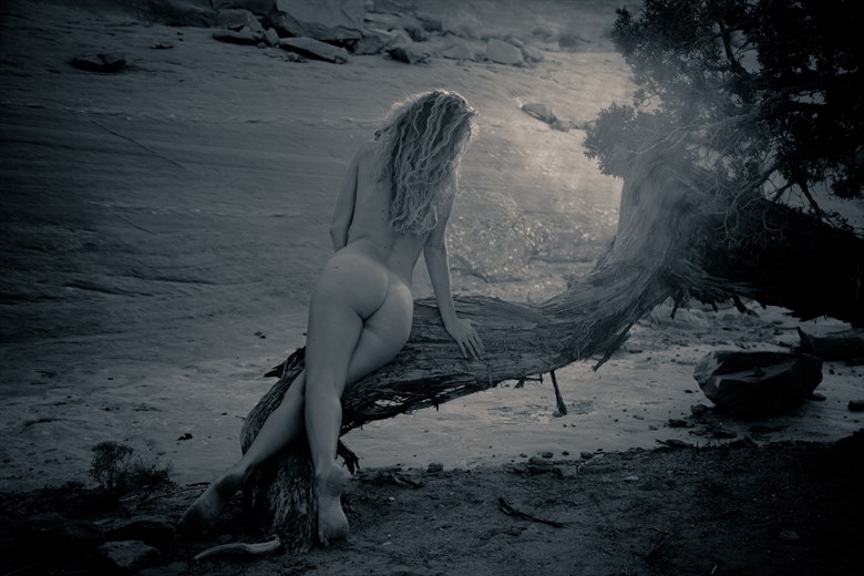 Laurine Matt Artistic Nude Photo by Artist April Alston McKay