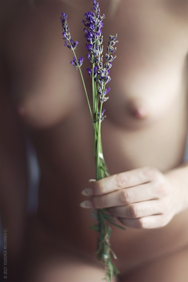 Lavander  Artistic Nude Photo by Photographer Vladimir 