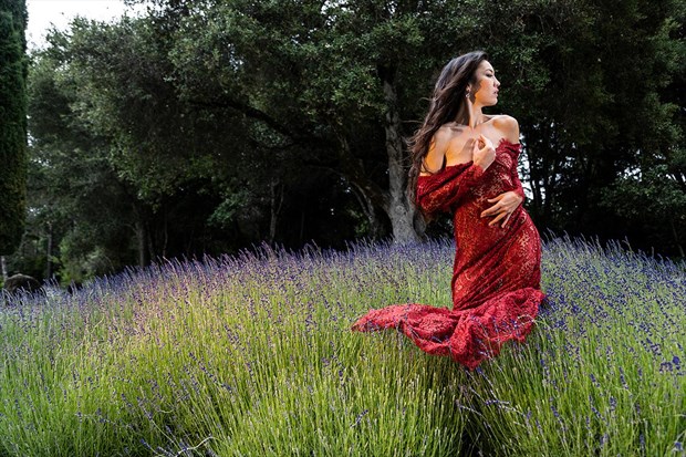 Lavender Fields Forever Nature Photo by Model Catalina Cruise