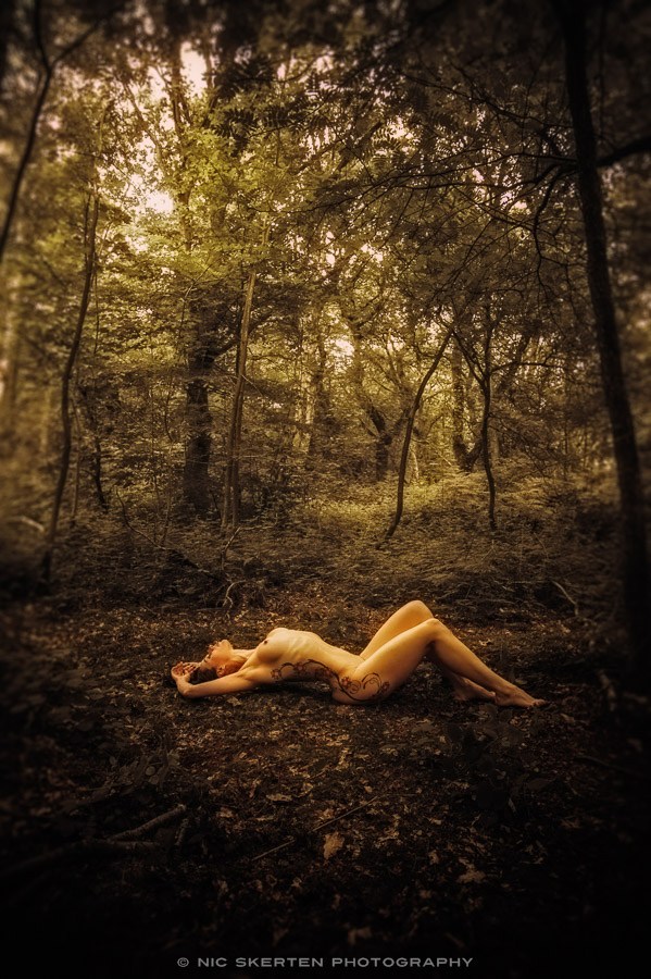Lavinia III Artistic Nude Photo by Photographer nicnic