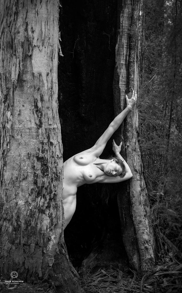Lean On Me Artistic Nude Photo by Model Alice Unleashed