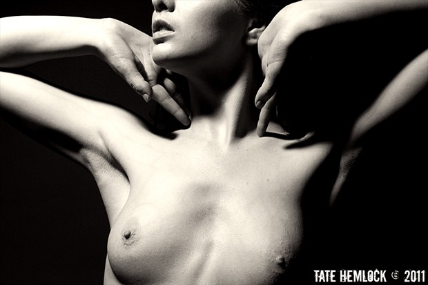 Learning To Fly Artistic Nude Photo by Photographer Tate Hemlock
