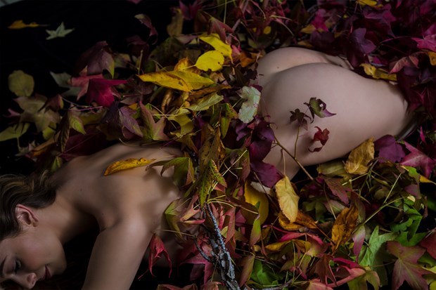 Leaves Artistic Nude Photo by Photographer Dan West