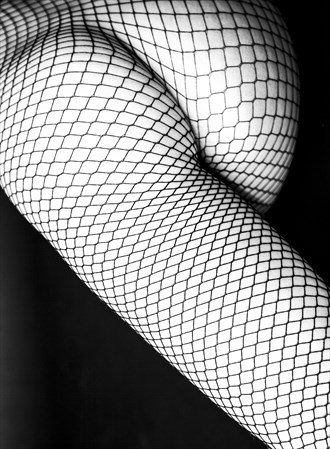 Leg Abstract Photo by Photographer lancepatrickimages