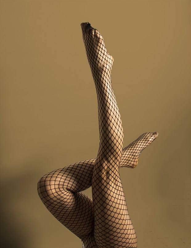 Legs Artistic Nude Photo by Photographer Primus