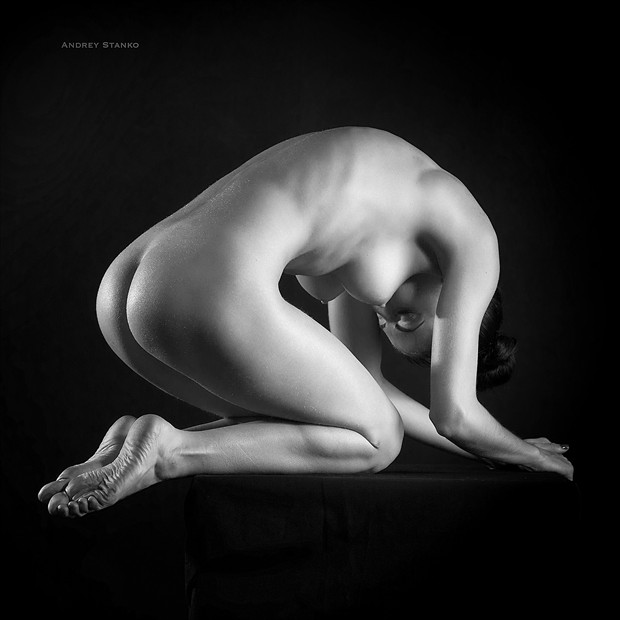 Light & Body Artistic Nude Photo by Photographer Andrey Stanko