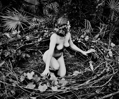 Lila Blue Artistic Nude Photo by Photographer Lisa Paul Everhart