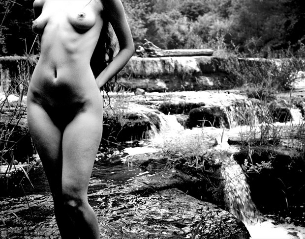 Lily M torso Artistic Nude Photo by Photographer Joe Klune Fine Art