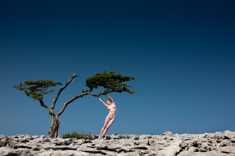Limestone Artistic Nude Photo by Model Dee Frances