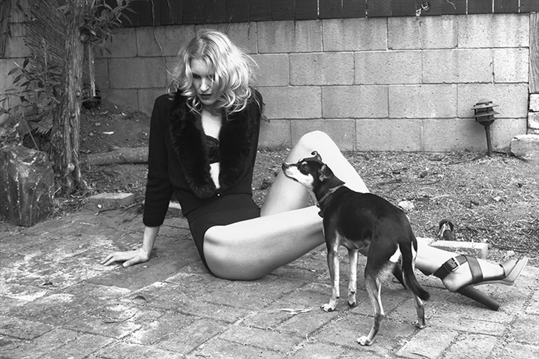 Lina and Dog  Fashion Photo by Photographer Vicente Mulholland 