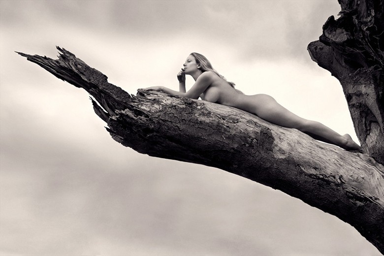 Lioness Artistic Nude Photo by Model Muse