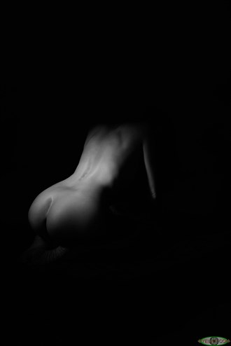 201 Artistic Nude Photo by Photographer J. Warren