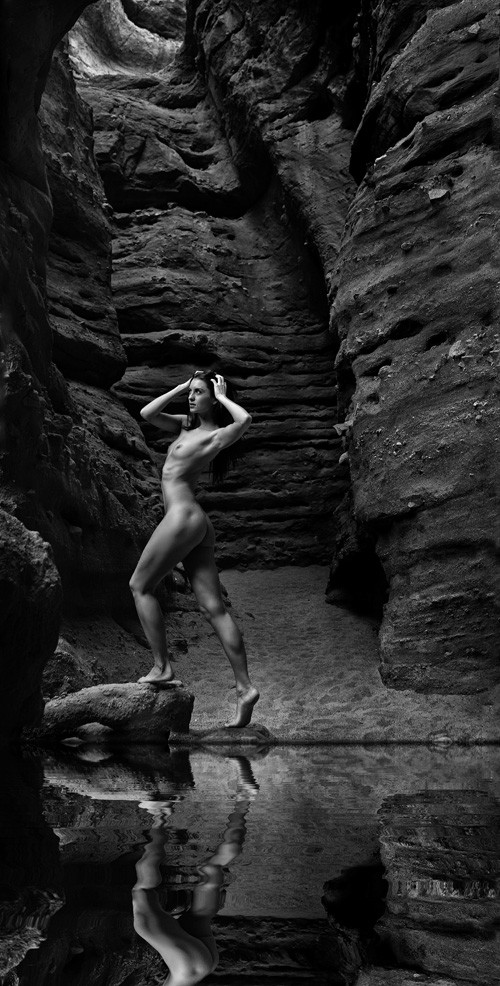 Lissa Jean Artistic Nude Photo by Photographer DanWarnerPhotography