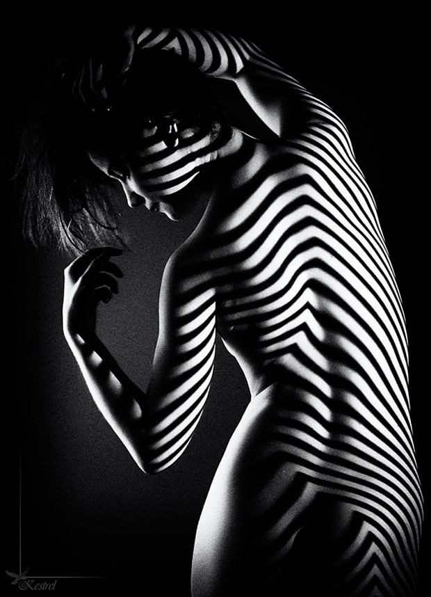 Little Zebra Artistic Nude Photo by Photographer Kestrel