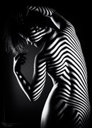 Little Zebra Artistic Nude Photo by Photographer Kestrel
